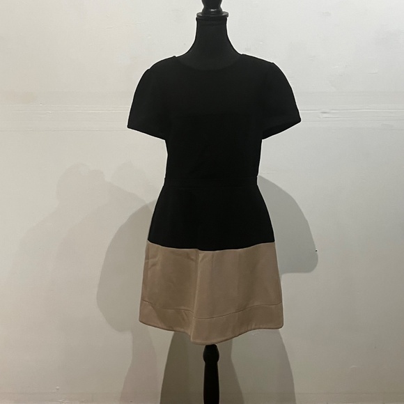 BCBG Black/Tan Colorblock Shift Dress - Picture 11 of 14
